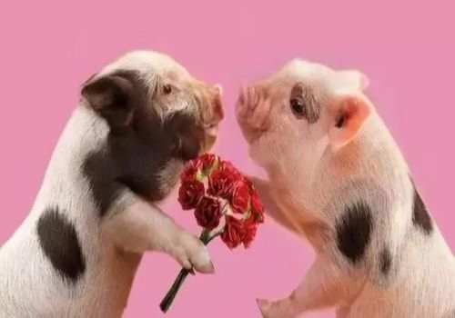 重庆市侦探公司：婚内转移财产如何判定